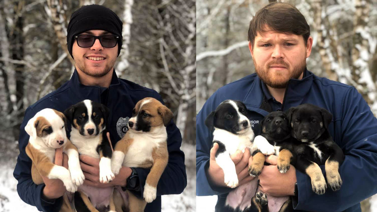 Puppies found abandoned in Lawrenceburg, Kentucky (Nov. 2019)